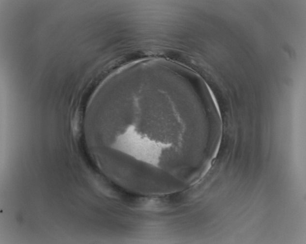 X0000113340074200910061007