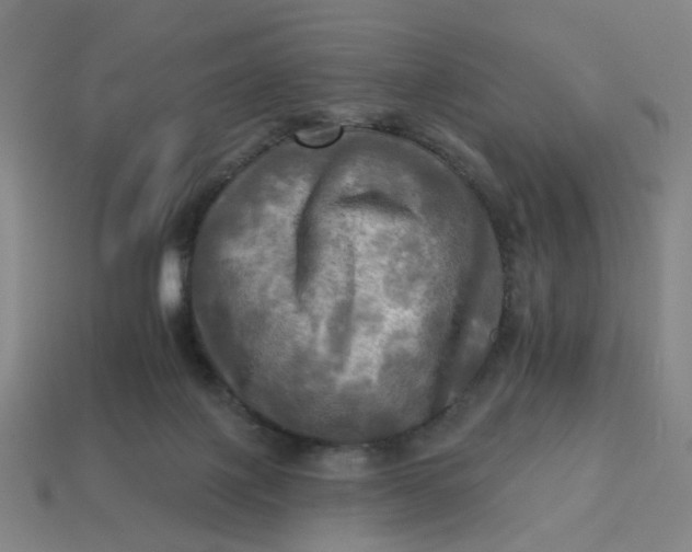 X0000113340075200910061007