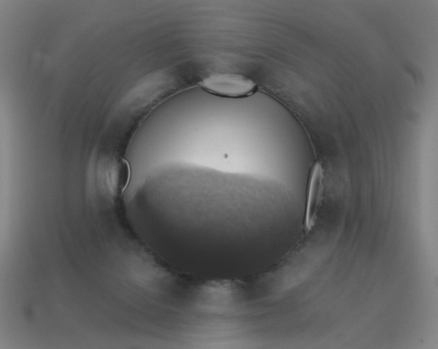 X0000113340076200910061007