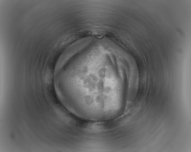 X0000113340078200910061007