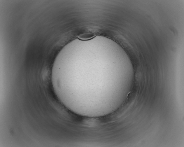 X0000113340079200910061007