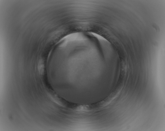 X0000113340080200910061007
