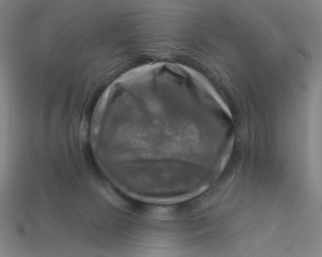 X0000113340081200910061007