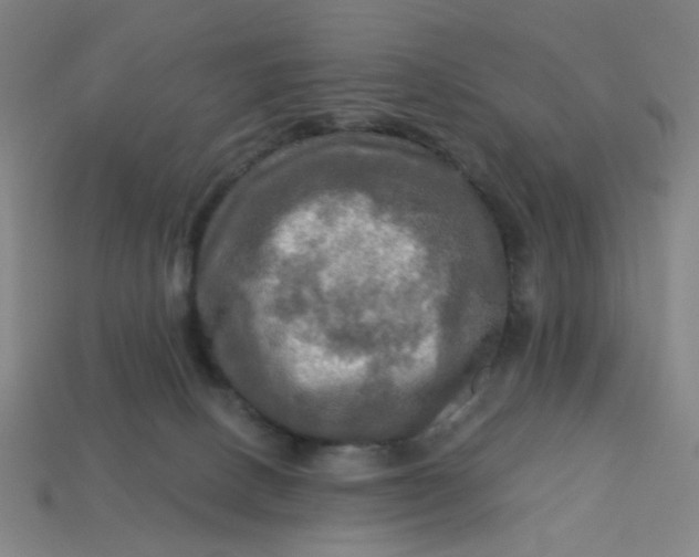 X0000113340082200910061007