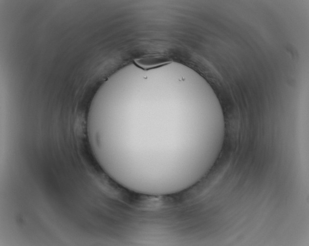 X0000113340083200910061007