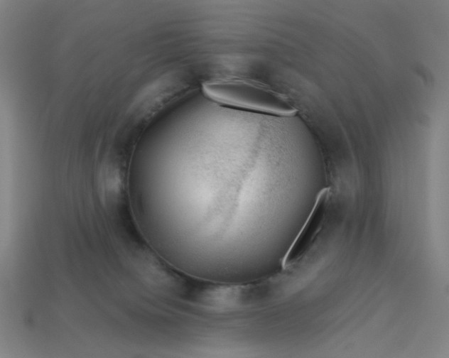 X0000113340084200910061007
