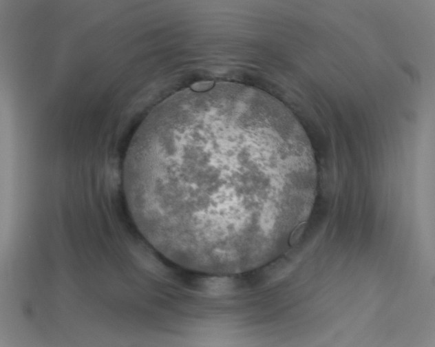 X0000113340085200910061007