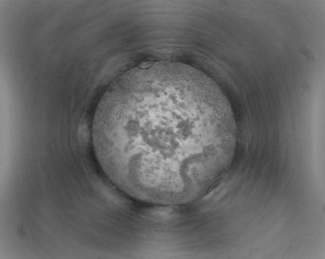 X0000113340086200910061007