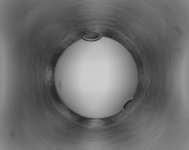 X0000113340087200910061007