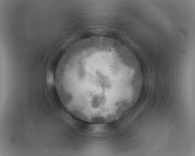 X0000113340089200910061007