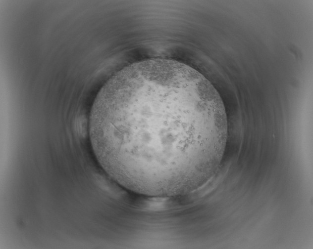 X0000113340090200910061007