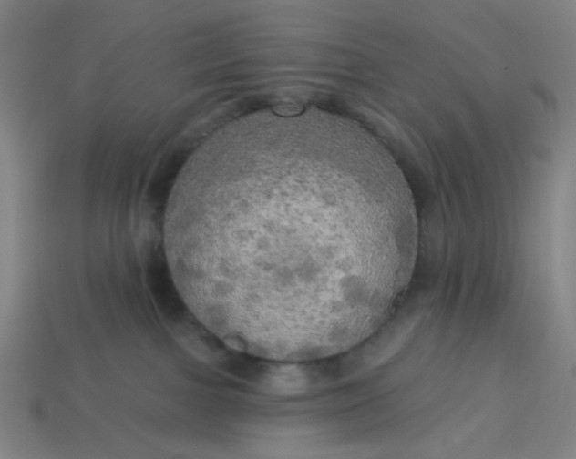 X0000113340091200910061007