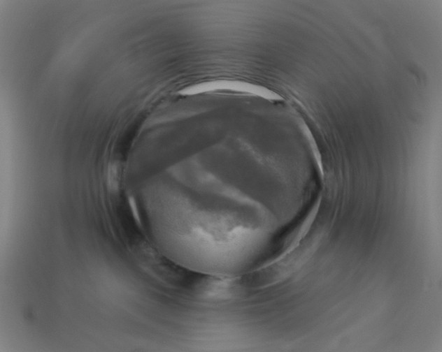 X0000113340093200910061007