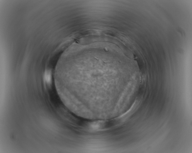 X0000113340094200910061007