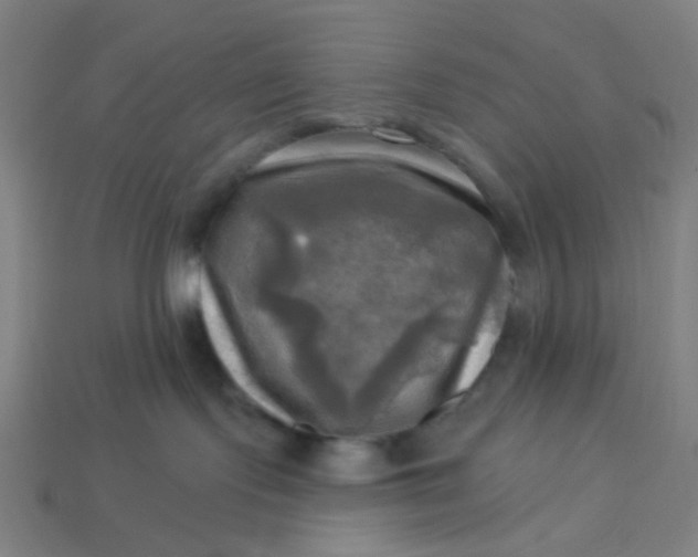 X0000113340095200910061007