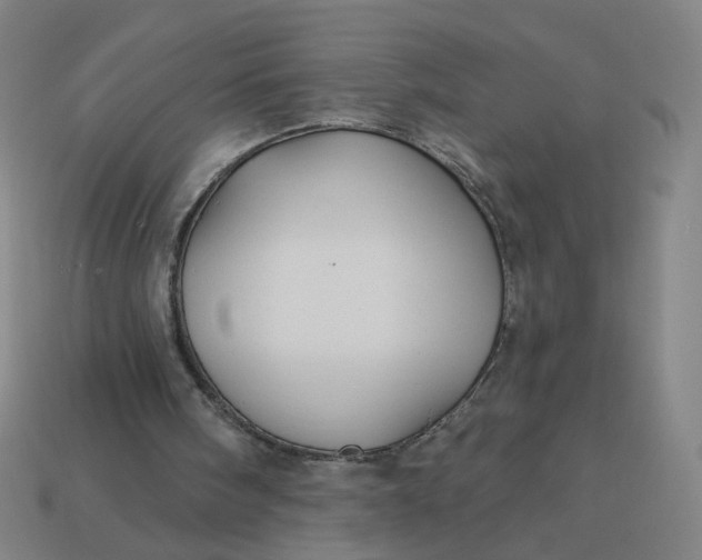 X0000113340098200910061006
