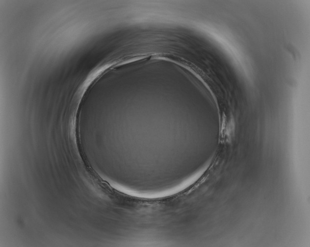 X0000113340099200910061006