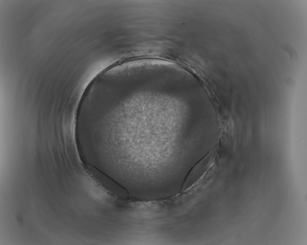 X0000113340100200910061006