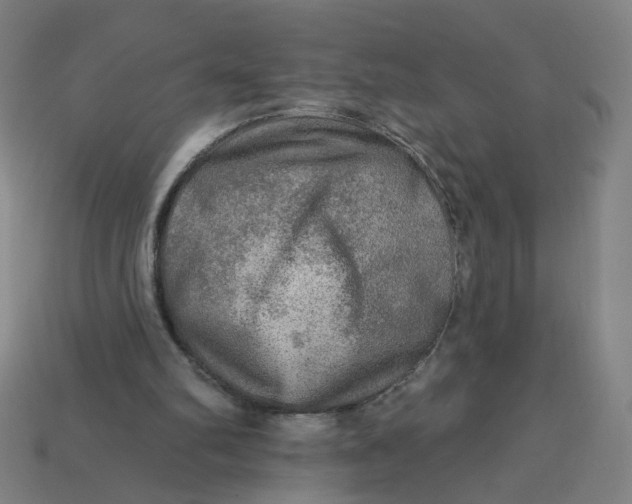 X0000113340102200910061006