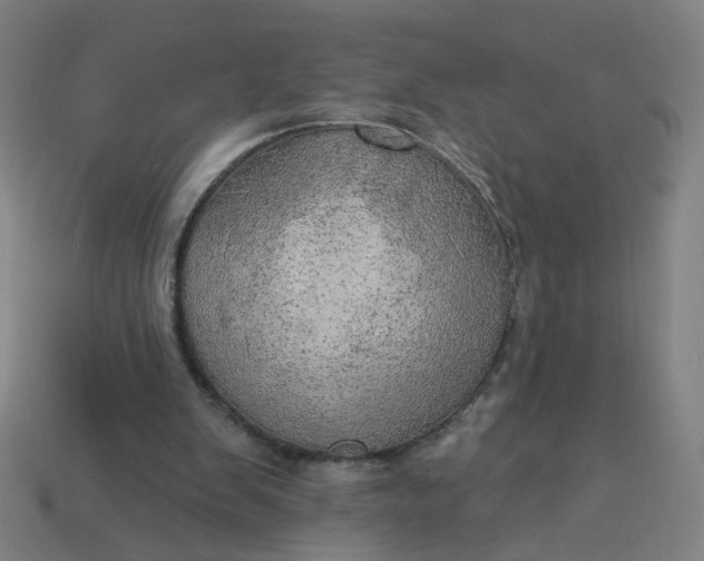 X0000113340103200910061006