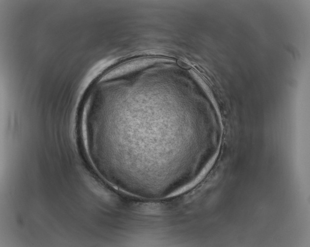 X0000113340104200910061006