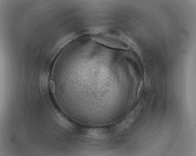 X0000113340105200910061006