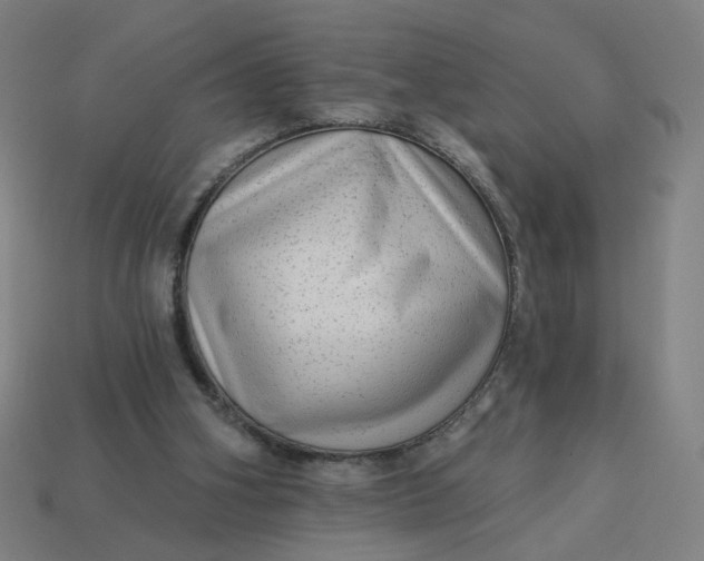 X0000113340106200910061006