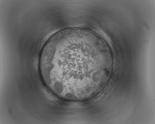X0000113340107200910061006