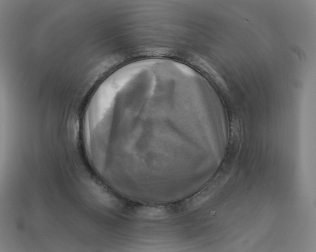 X0000113340110200910061006