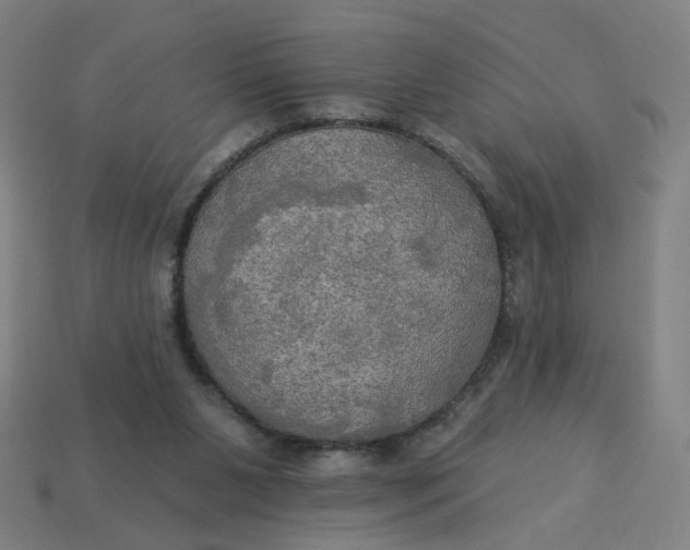 X0000113340111200910061006