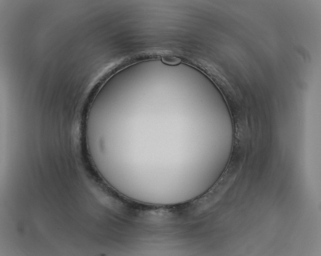 X0000113340112200910061006