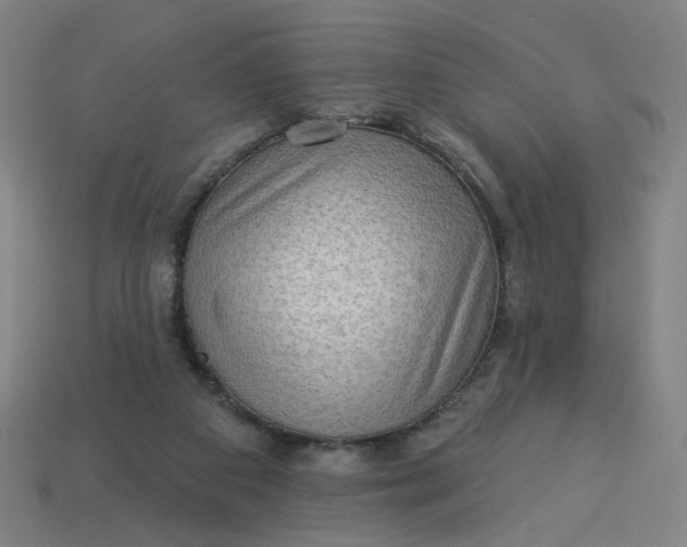 X0000113340113200910061006