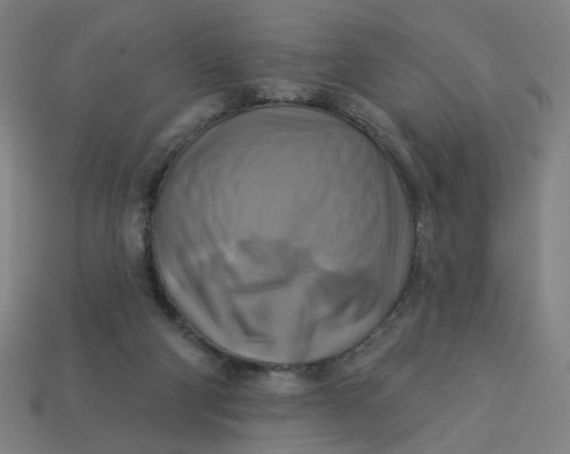 X0000113340114200910061006