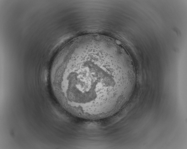 X0000113340115200910061006