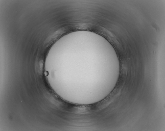 X0000113340118200910061006