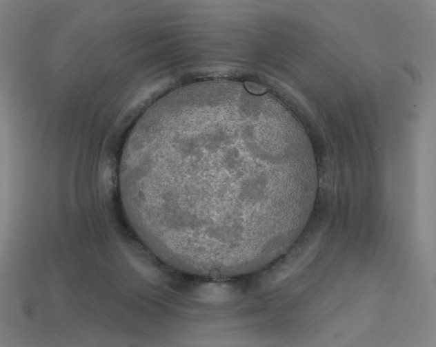 X0000113340119200910061006