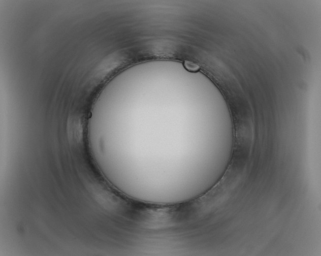 X0000113340120200910061006