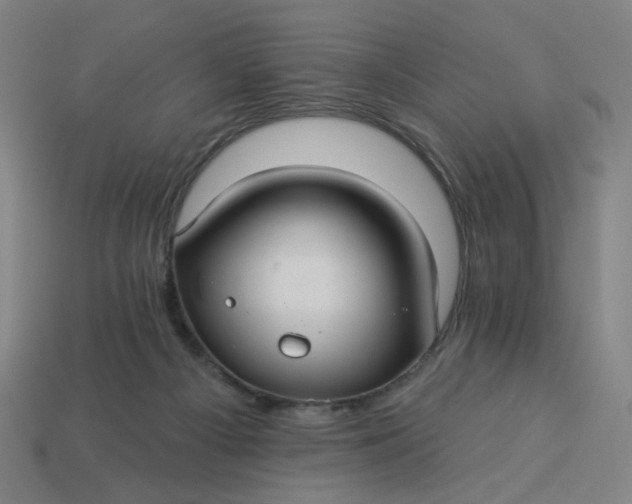 X0000113340121200910061006