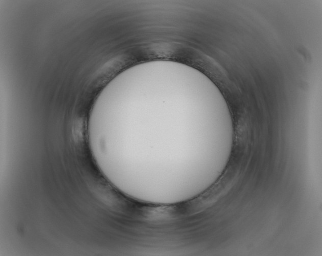 X0000113340122200910061006