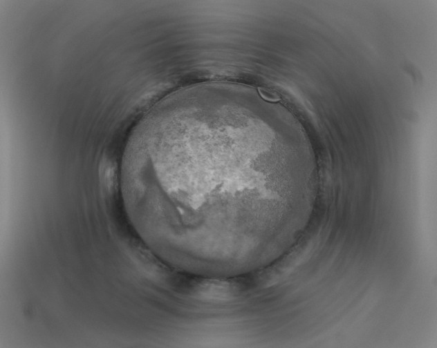 X0000113340123200910061006