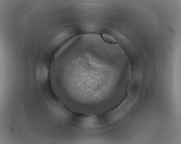 X0000113340124200910061006