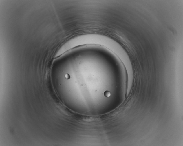 X0000113340125200910061006