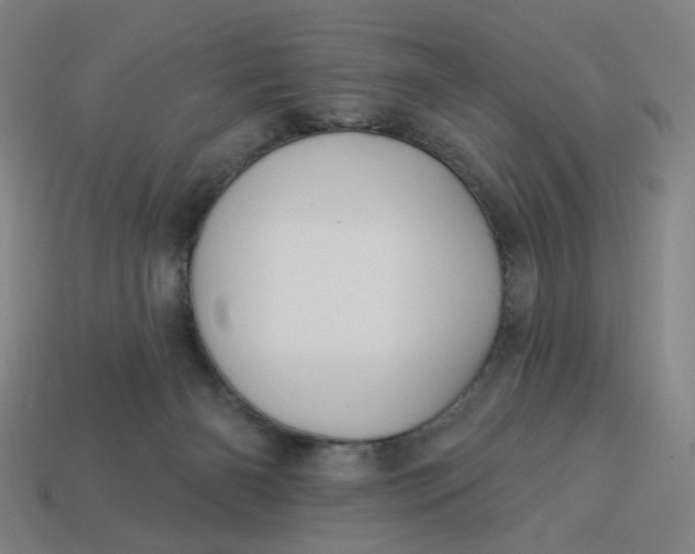 X0000113340126200910061006