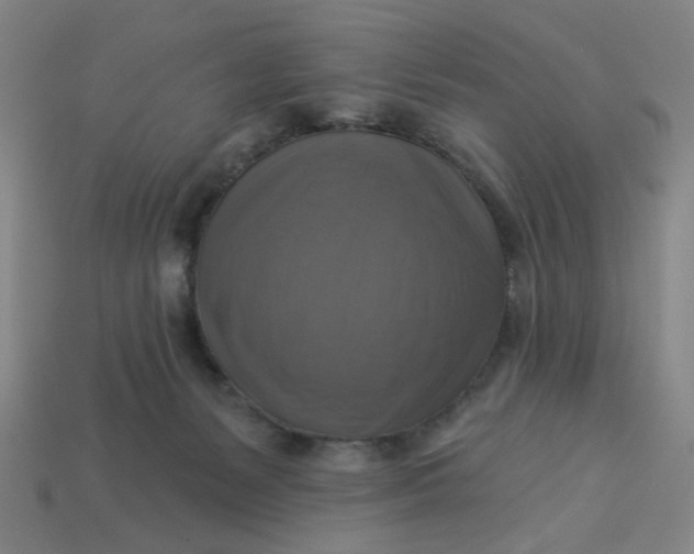 X0000113340127200910061006
