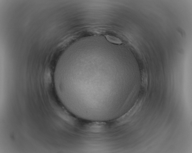 X0000113340128200910061006