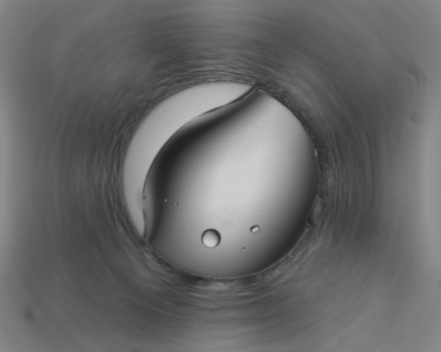 X0000113340129200910061006