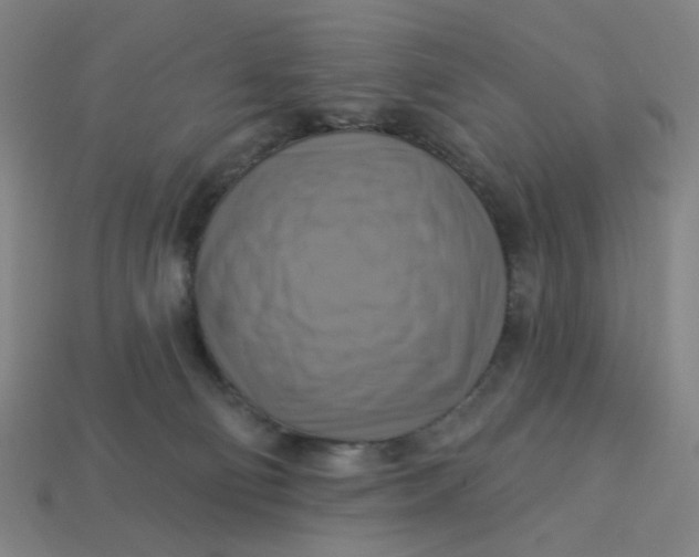 X0000113340130200910061006