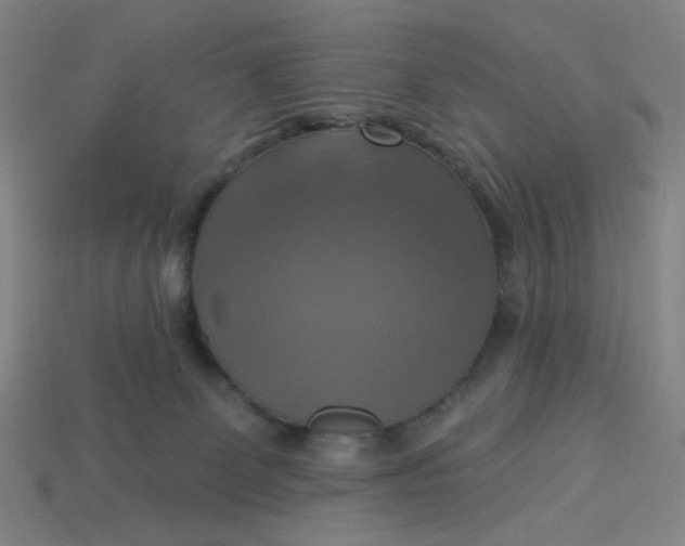 X0000113340131200910061006