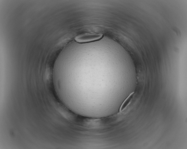 X0000113340132200910061006