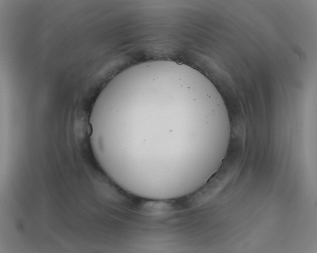 X0000113340133200910061006